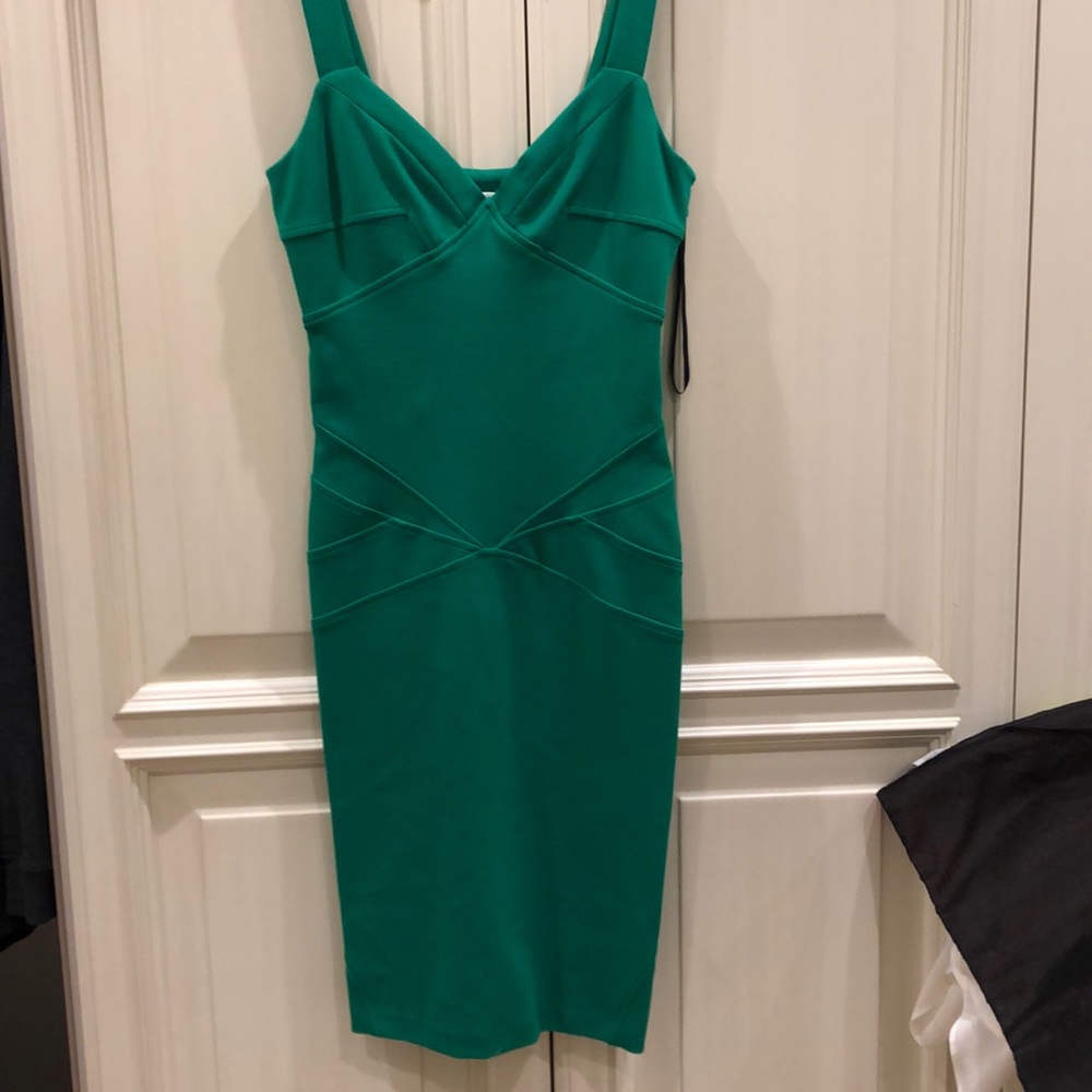 Diane von furstenberg green dress
